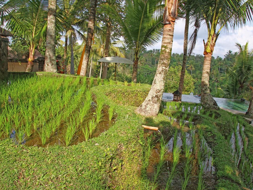 Toya Retreat Villa Теґалаланґ Екстер'єр фото